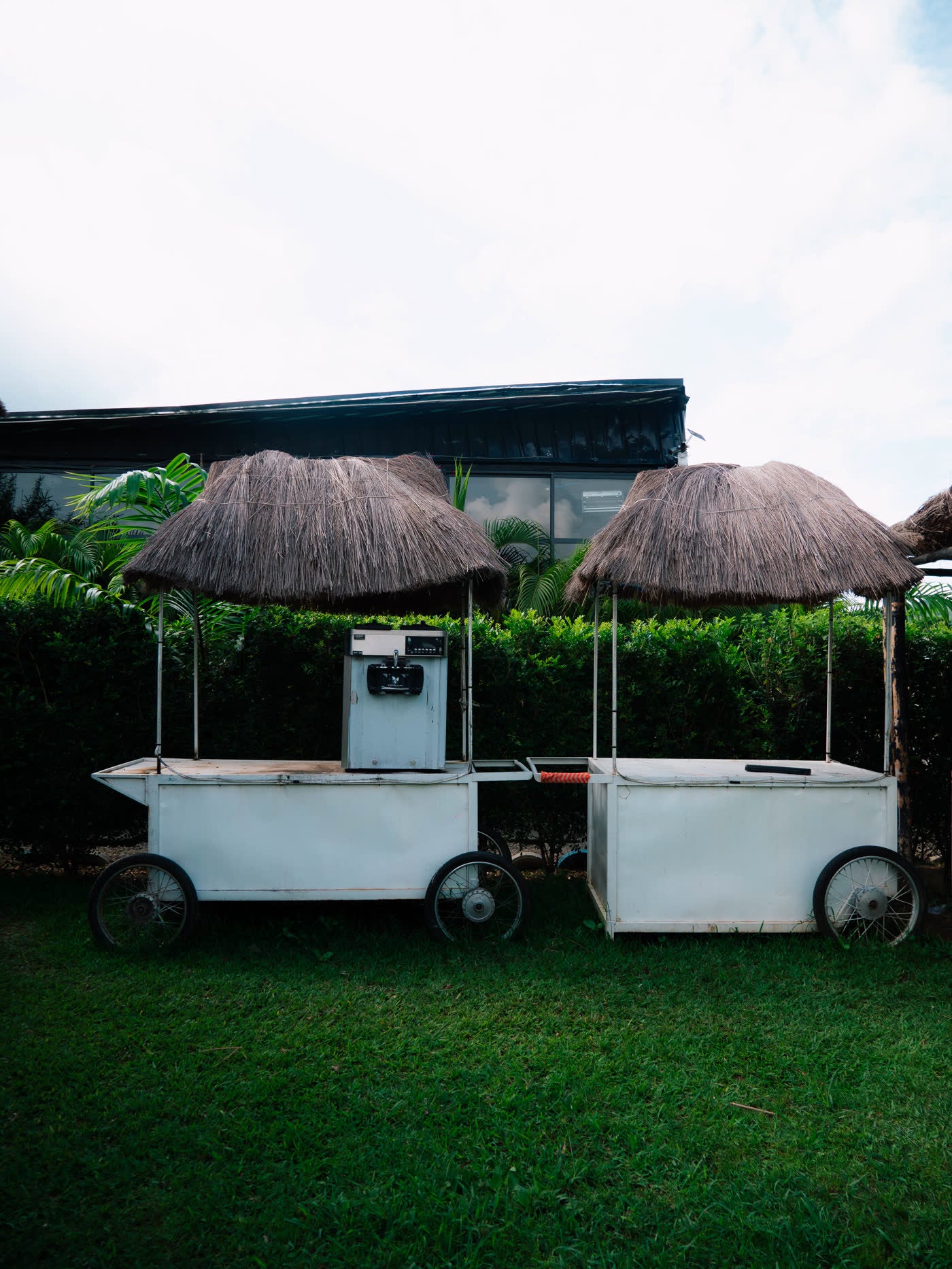 Empty thatched-roof vendor carts parked on green grass